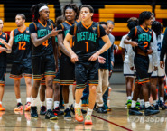BASKETBALL: Westlake 43, Springbrook 42:  Kemper leads Wolverines over Blue Devils